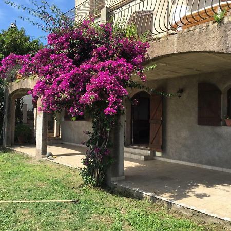 80 Route De San Martino Apartamento Bastia  Exterior foto